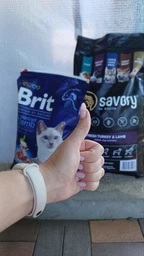 Сухий корм Brit Premium Cat by Nature Sterilised для стерилізованих котів, з куркою, 1500 г (1111167477) фото от покупателей 1