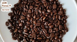 Кофе в зернах L'OR Espresso Forza 100% Арабика 1 кг (8711000400760) фото от покупателей 1