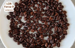 Кофе в зернах L'OR Espresso Forza 100% Арабика 1 кг (8711000400760)