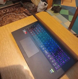 Ігровий ноутбук 17,3" Medion Erazer Beast AMD Ryzen 9 5900HX RAM 32ГБ SSD 1 ТБ nVidia GeForce RTX 3080 16 ГБ IPS FullHD 240 Гц Win10 б/в (Lenovo Group)