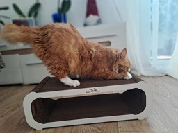 Когтеточка (царапка) – лежанка для кошек GoldCat L 59 х 25 x 19 см фото от покупателей 5