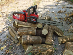 Цепная пила Einhell X-Change GE-LC 36/35 Li Kit 2x4.0 Ah Twincharger (4501780K) фото от покупателей 6