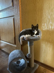Кігтеточка для маленьких кошенят Мур-Мяу Котейка 30х30х54 см дряпка у джутовій мотузці Бежевий МТК фото від покупців 3