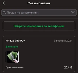Листя Бамбука бамбукове листя для суші 100 листів шт
