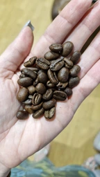 Кава в зернах Coffee Indonesian Arabica 400г (620104) фото від покупців 1