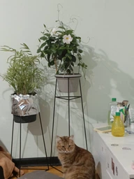 Підставка металева для квітів/вазонів Stand-flower-313 Комплект (3шт.) фото от покупателей 3