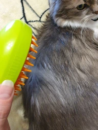 Паровая щетка расческа для вычесывания шерсти котов 3 в 1 Steamy Cat Brush Зеленая фото от покупателей 16