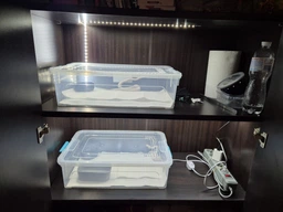 Світлодіодна LED стрічка 2 метри біла USB 5V ЮСБ, працює від павербанку