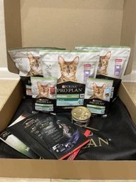 Вологий корм для стерилізованих котів Purina Pro Plan Sterilised Пуріна Проплан з яловичиною в підливці пауч 85 г 26 шт (7613036092883) фото от покупателей 4