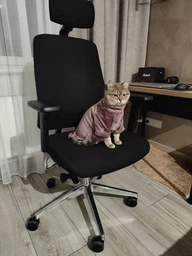 Флисовая кофта для котов (кошек) Бархат S Голубой фото от покупателей 6