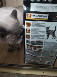 Сухой корм для кошек при заболеваниях почек на ранних стадиях Purina Pro Plan Veterinary Diets NF - Renal Function Early Care Feline 1.5 (кг) фото от покупателей 1