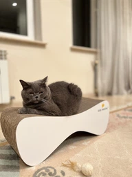 Кігтеточка (дряпка) - лежанка для кішок Say Meow Cloud 61х21х24 см (8040190102001)