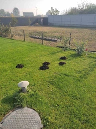 Отпугиватель кротов Profi Plus Super Spiker Pest Control на солнечной батарее (5414528004771) фото от покупателей 1
