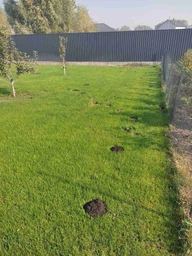 Отпугиватель кротов Profi Plus Super Spiker Pest Control на солнечной батарее (5414528004771)