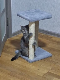 Царапка Lucky Pet домик сезалевый "Симба 2" 33 х 33 х 44 см Бежевая (4820224216171)