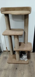 Котячий комплекс кігтеточка з великою лежанкою оббитий зносостійкою турецькою тканиною 120х60х45см сірий фото від покупців 2