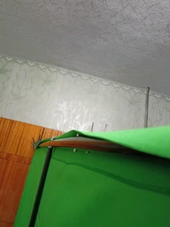Фон хромакей со стойкой Puluz PU5205G Chroma key зелёный (200x200см)