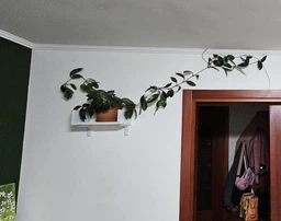 Гачки Gluit прозорі багаторазові пластикові для декорацій,легковидальні. К-т 20 гачків 24 смужки. фото от покупателей 1