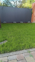 Газонная трава универсальная Green Seeds пакет 1кг