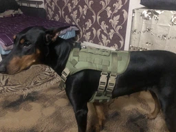 Шлея для собак Vest, тактический жилет с ручкой и системой MOLLE, черный М (132М-BLACK)