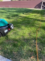 Газонная трава лилипут Turfline Mini, 1кг, DLF Trifolium