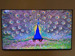 ТБ TCL 65C655 фото від покупців 1