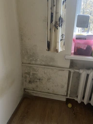 Засіб для видалення цвілі Astonish Mould&Mildew Stain Blaster 750 мл фото від покупців 9