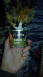 Сухий корм для котів Savory Adult Cat Steril Fresh 400 г - ягня та курка