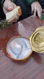 Сюрстремминг Surstromming Röda Ulven 400г банка (ферментированная сельдь Surströmming сюрстреминг) (22199) фото от покупателей 13