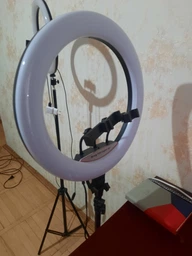 Кольцевая светодиодная LED лампа 45 см с пультом Набор для блогера 2 в 1 Селфи кольцо с штативом 2м фото от покупателей 8