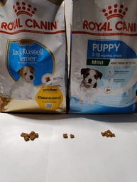 Корм для цуценят ROYAL CANIN JACK RUSSEL PUPPY 1.5 кг