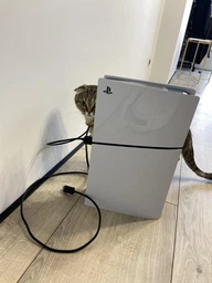 Игровая приставка Sony PlayStation 5 Slim Digital Edition фото от покупателей 1
