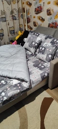 Подушка Руно Grey Cat антиаллергенное волокно 50х70 см (Р310.52СЛУ_Grey Cat) фото от покупателей 12