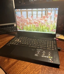 Ноутбук ASUS TUF Gaming A15 FA507NU-LP131 (90NR0EB8-M00EK0) Jaeger Gray / 15.6" IPS Full HD 144 Гц / AMD Ryzen 5 7535HS / RAM 16 ГБ / SSD 1 ТБ / nVidia GeForce RTX 4050 фото от покупателей 4