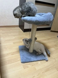 Когтеточка Lucky Pet Прана, серый, 33х33х50см фото от покупателей 5