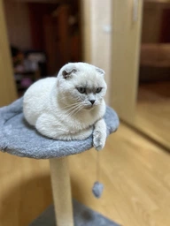 Когтеточка Lucky Pet Прана, серый, 33х33х50см фото от покупателей 4