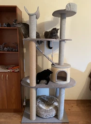 Стильная когтеточка с домиком игровой комплекс для кошек, котов всех пород 190х80х60см серо бежевая
