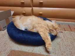 Лежак для котов и собак Природа Tommy 50х50х10 см (4823082430666)