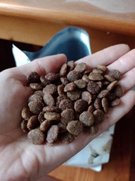 Корм сухой Brit Care Cat Grain Free Sensitive HDigestion Delicate Taste для котов с чувствительным пищеварением индейка и лосось фото от покупателей 11