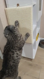 Когтеточка Lucky Pet односторонняя сизалевая 29х40 см Бежевая (4820276191525)