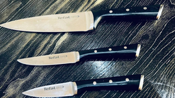 Набор ножей Tefal Ice Force в пластиковой колоде 4 предмета (K2325S75)