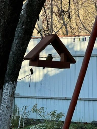 Кормушка для птиц подвесная House_for_birds "Радуга" дерево фото от покупателей 8