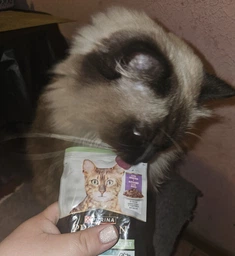 Вологий корм для стерилізованих котів Purina Pro Plan Sterilised Пуріна Проплан з куркою в підливці пауч 85 г 26 шт (7613036092852)
