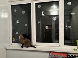 Новогодние наклейки на окно Снежинки Карпатские Набор 15 шт. (снег наклейки на стекло новогодний декор) белые глянец (HP-031-010GL)
