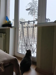 Прозрачная кормушка для птиц на окно Домик фото от покупателей 8