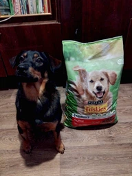 Сухой корм для взрослых активных собак Purina Friskies с говядиной 10 кг фото от покупателей 12