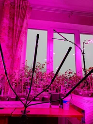 Фітолампа для рослин Plant GrowLight світлодіодна з таймером, чорна (TB017938)