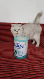Суха молочна суміш Nestle NAN 3 Optipro з олігосахаридом 2'FL для дітей від 12 місяців 400 г (7613032476175) фото від покупців 2