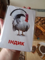 Карточки Домана ''Домашние животные'' на украинском языке, в наборе 15 карточек фото от покупателей 7