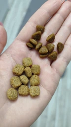 Сухой корм Royal Canin Gastrointestinal Low Fat Dog диетический для собак при расстройствах пищеварения 3кг фото от покупателей 3